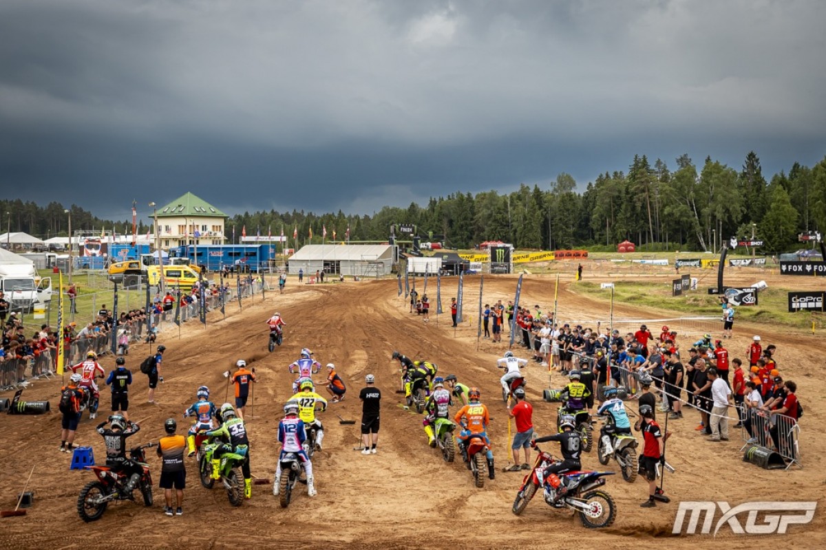 MX2 MX2