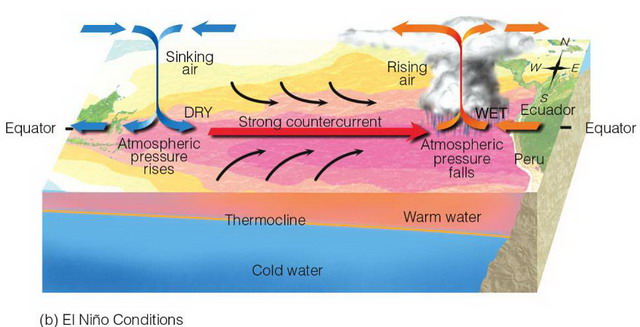 Схема действия El Nino в Тихом океане Схема действия El Nino в Тихом океане