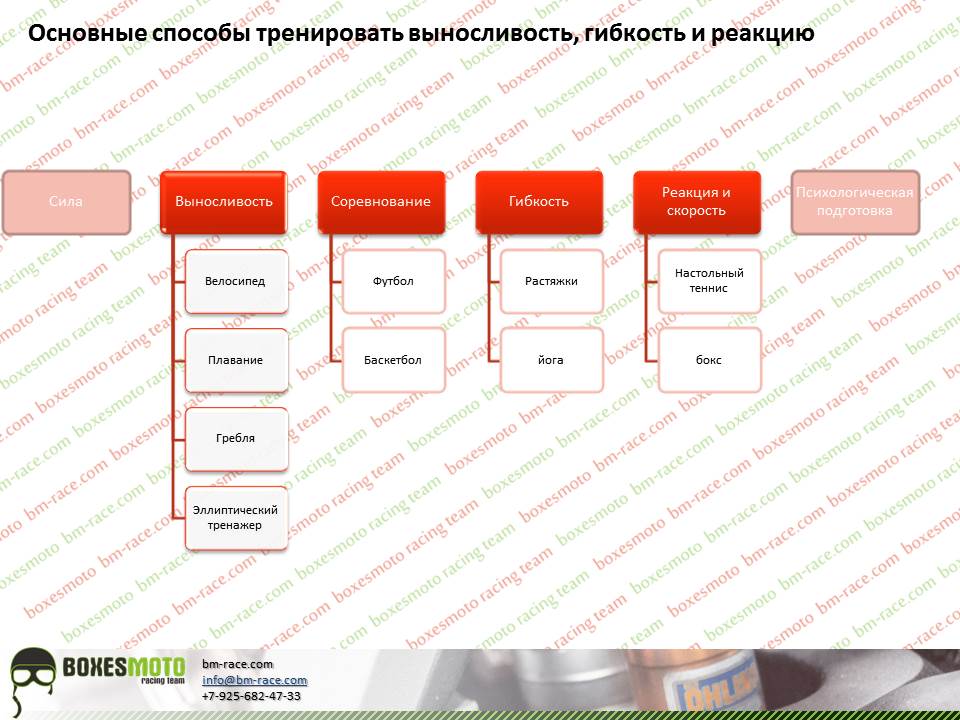 Какие виды спорта помогают развить разные составляющие конкурентоспособности Какие виды спорта помогают развить разные составляющие конкурентоспособности