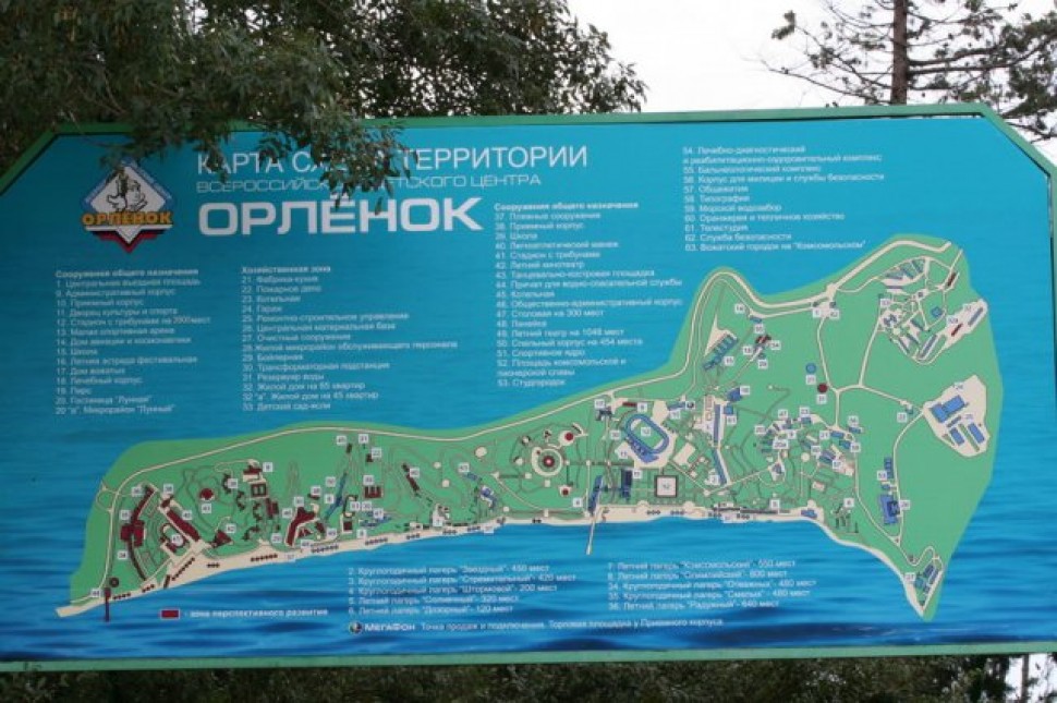 Где находиться орлёнок