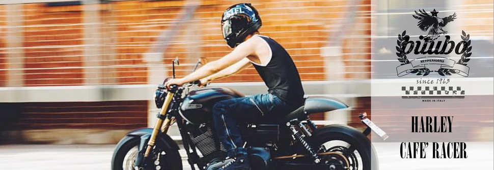 Bitubo Harley-Davidson Bitubo Harley-Davidson