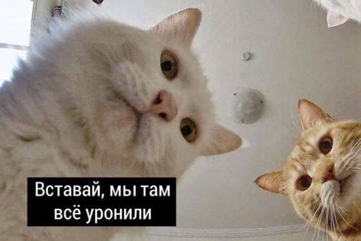 Наташ, мы все уронили! Наташ, мы все уронили!