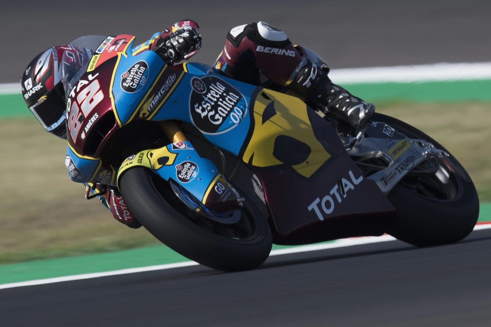 Сэм Лоус, Marc VDS EG 0.0 Сэм Лоус, Marc VDS EG 0.0