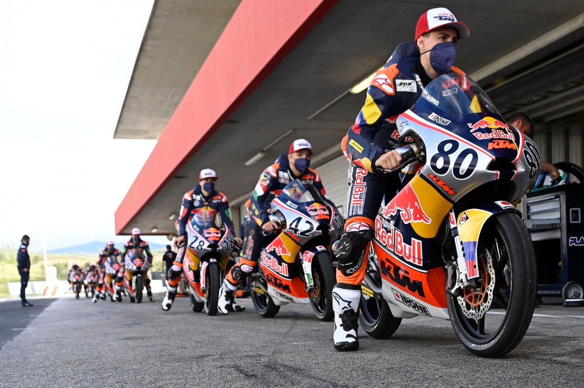 RED BULL MOTOGP ROOKIE