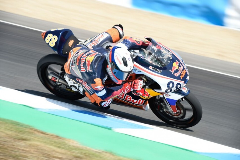 RED BULL RED BULL