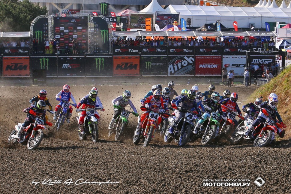 EMX2 EMX2