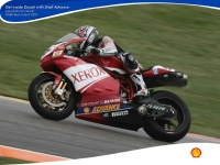 Xerox Ducati - SHELL Advance - Чемпионы мира по Супербайку 2006 года! 1024x768
